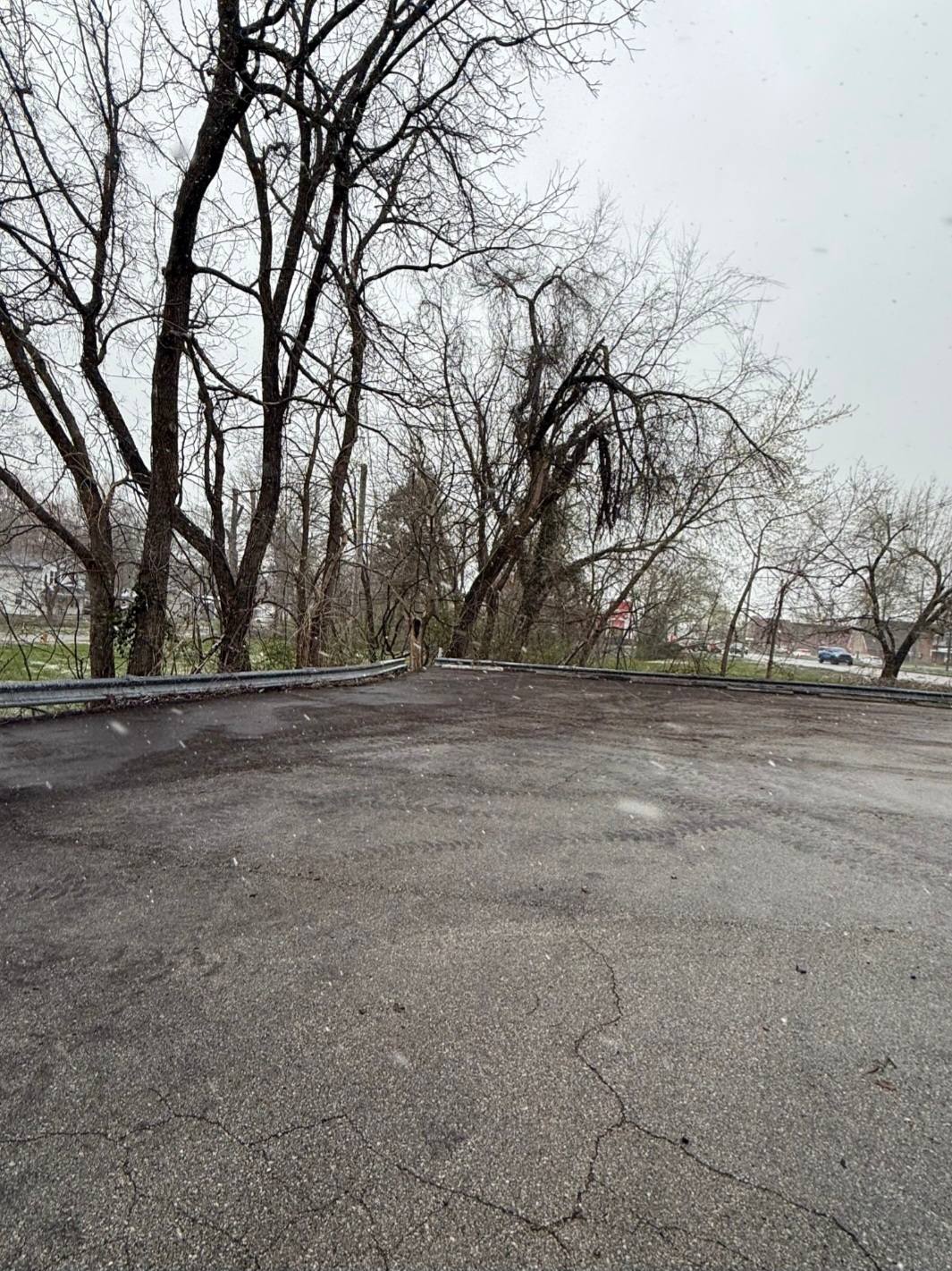 Commercial building with fresh mulch and trimmed hedges