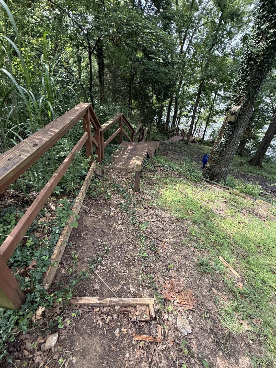 Boardwalk framing in progress