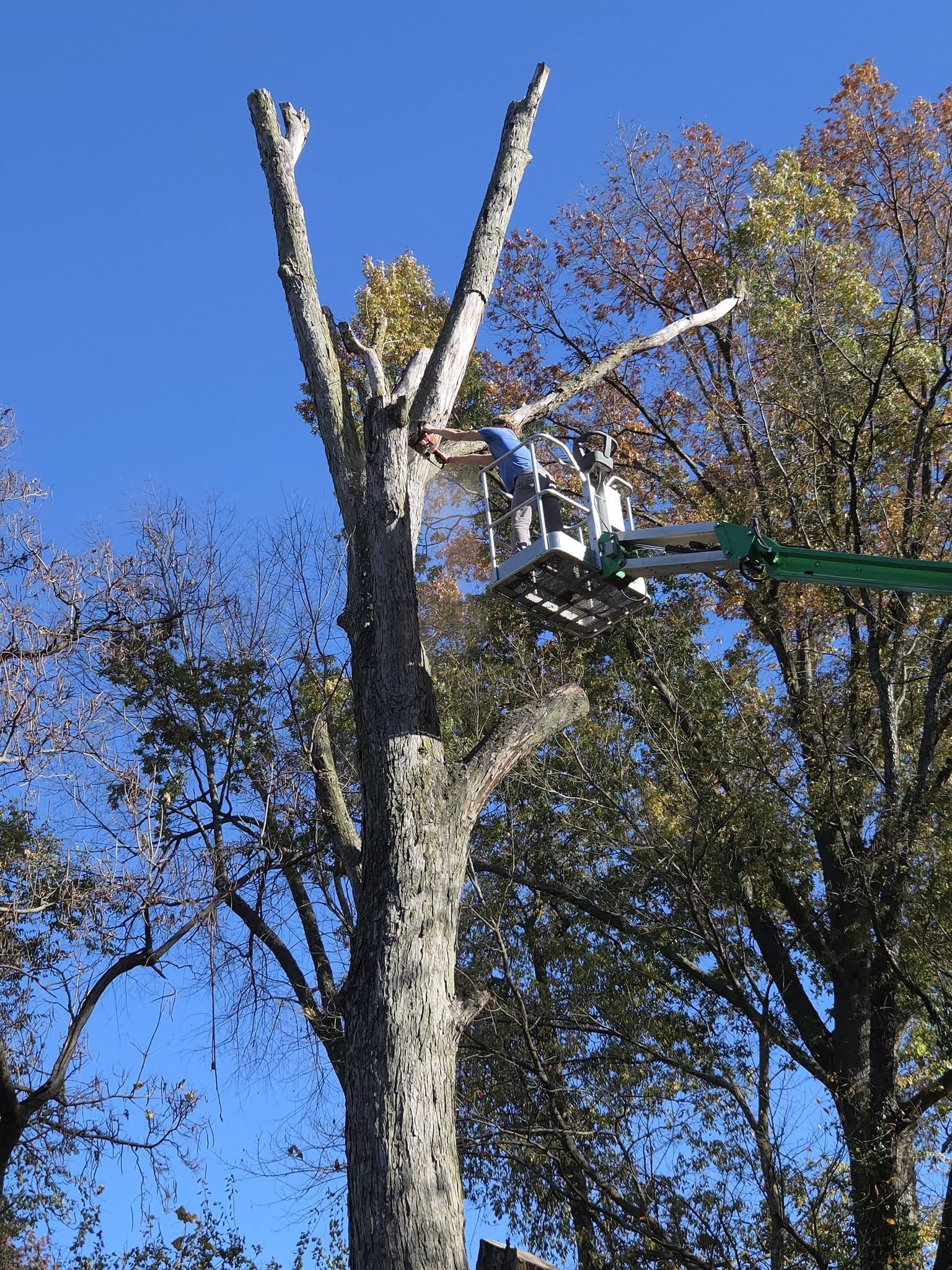 Ram 3500 flatbed hauling Kubota tractor