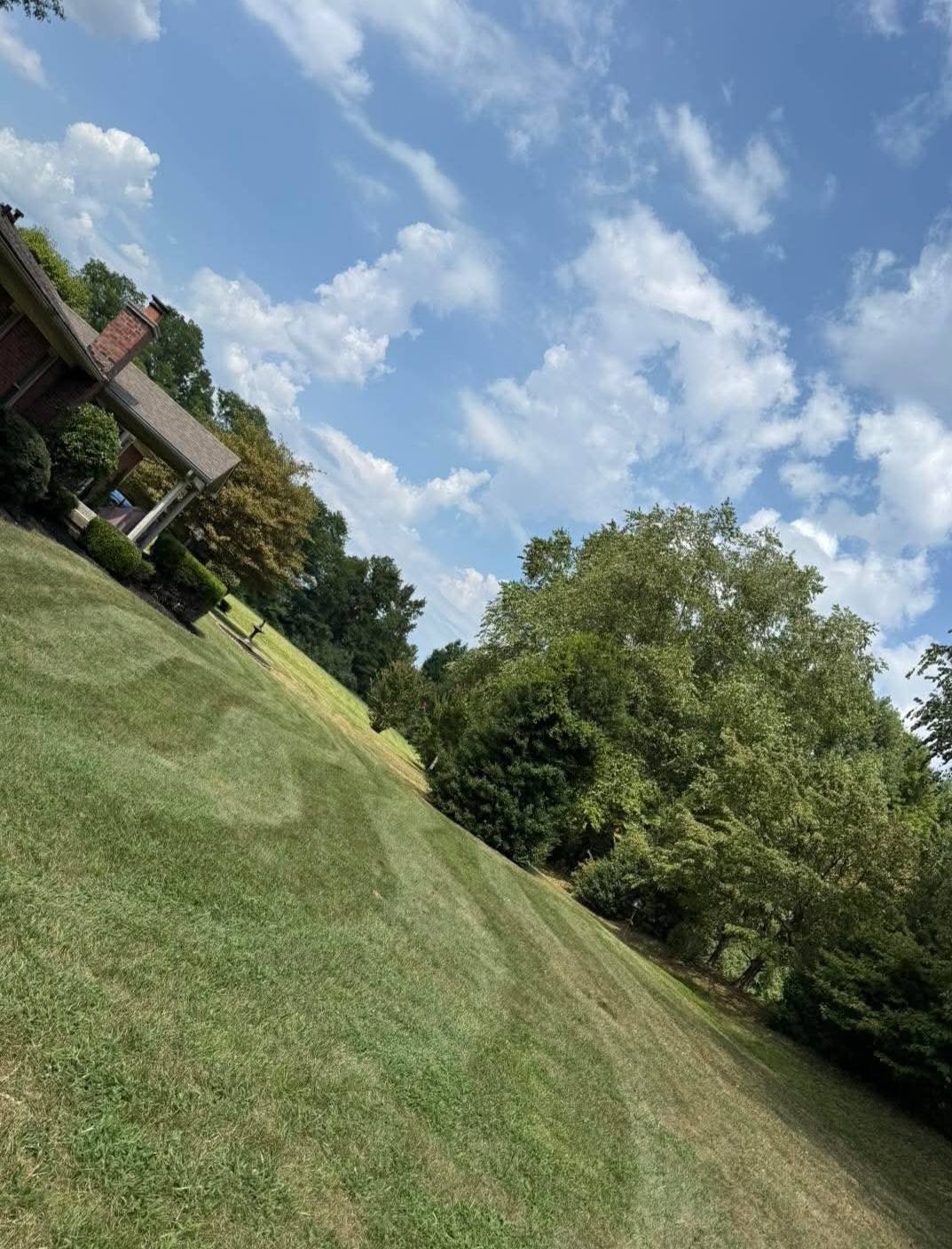 Mowed hillside next to large home