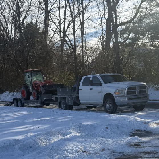 Tree work from aerial lift against blue sky