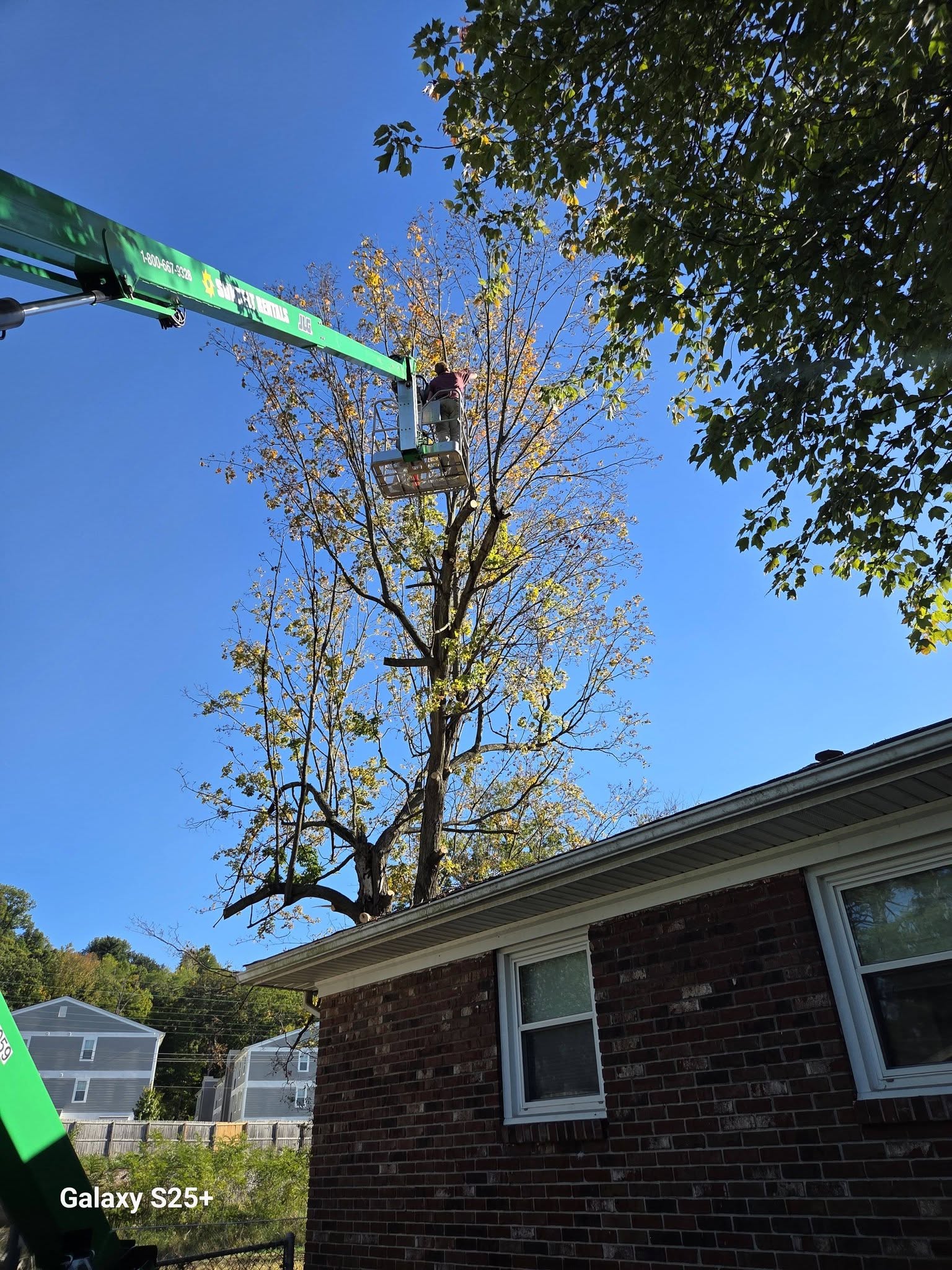 Tree trimming over roofline from boom lift